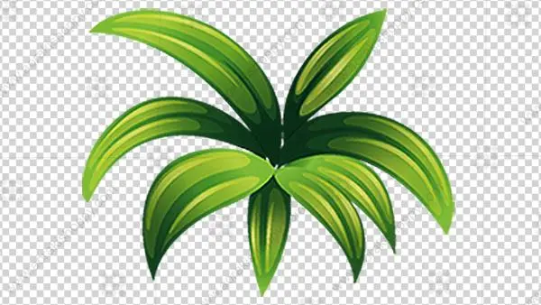 Small Plant