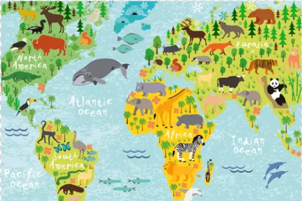 World Map Rectangular Picture - Boys Girls Bedroom Decoration Large Wall Sticker Decal