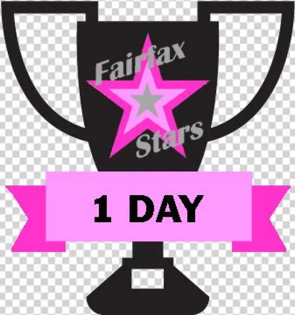3 Game/ 1 Day Think Pink Tournament Of Champions - Verandering Gedrag