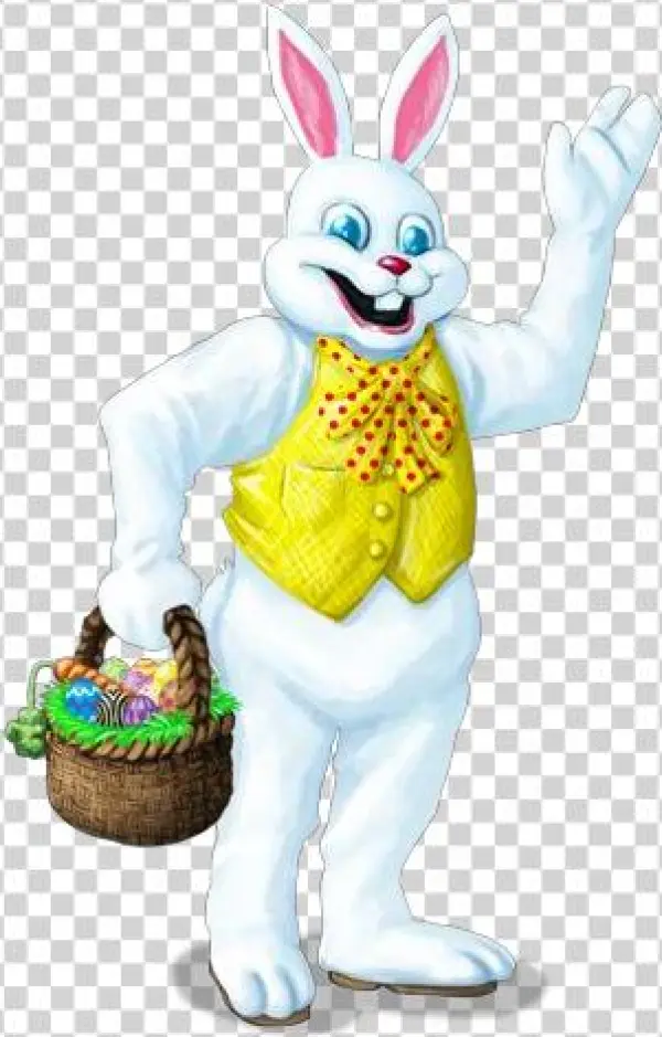 Bert Bunny - Cartoon