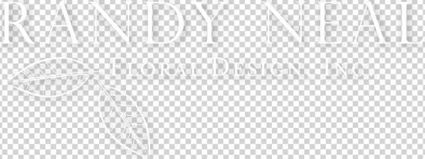 Black Floral Design Png