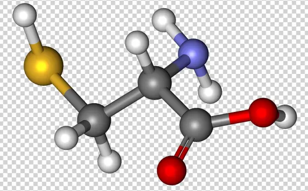 Cysteine Ball And Stick