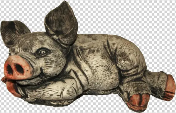 Ear Up Pig