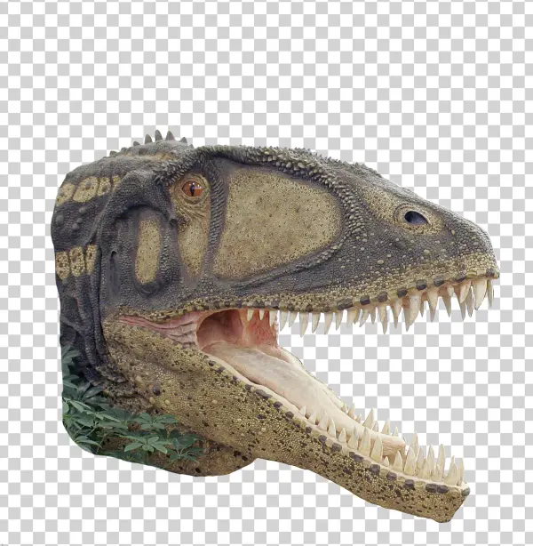 Early Dinosaurs