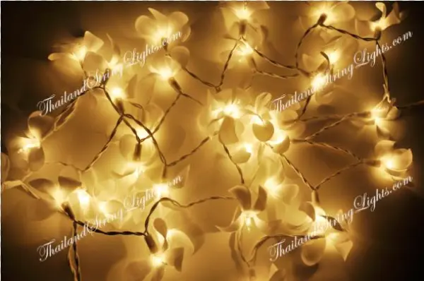 Lighting