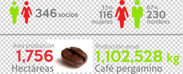Our Partners - Chocolate
