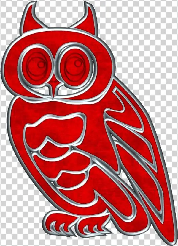 Owl Pictures - Owl