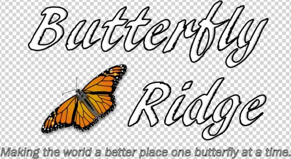 Png Images Butterflies