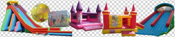 Search - Inflatable