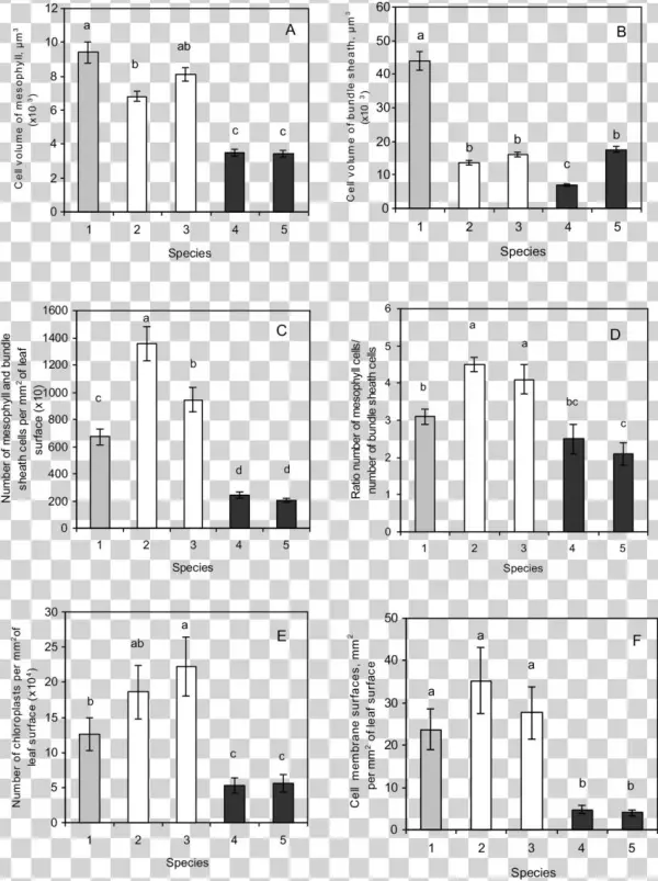The Quantitative Characteristics Of Photosynthetic - Smad
