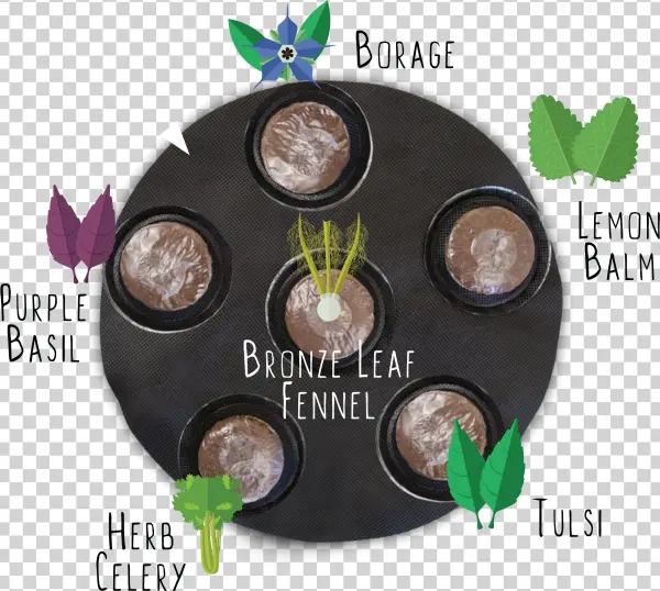 Tulsi Tree Png
