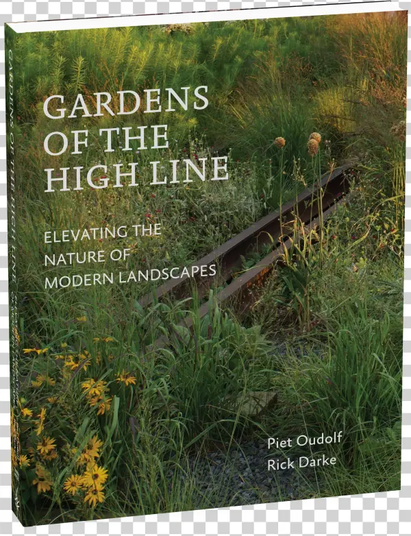 View Full Size Image - Gardens Of The High Line Elevating The Nature Of Modern