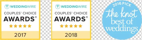 Weddingwire Awards - Undertheveil Satin Ribbon Veil, Satin Wedding Veil,