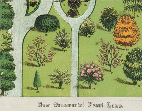 071 C0cacef2 9139 4c55 869a D2420a62a207 V=1527865563 - Garden
