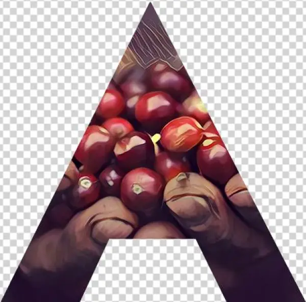 Appreciation Class - Cherry
