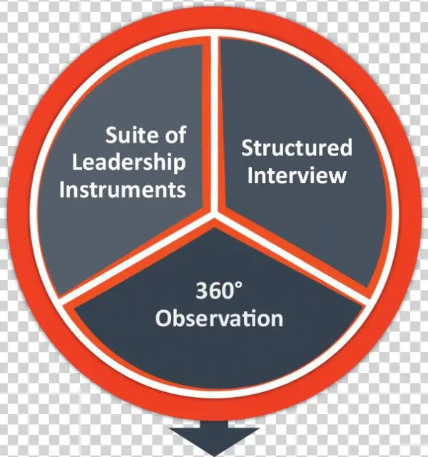 Beampines Executive Assessment & Development Planning - 5 Possible Social Responsibility Initiatives Of Tiger