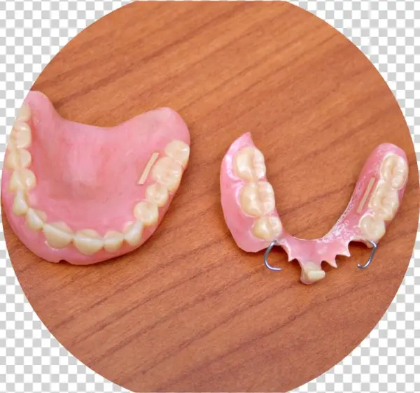 Dentures - Hardwood