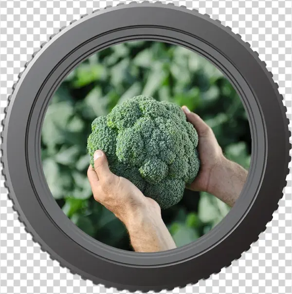 Lens Brocolli - Meze