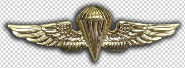 Marines Are Coming - Badge