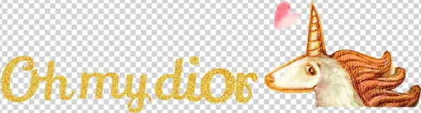 Oh My Dior News - The Hague