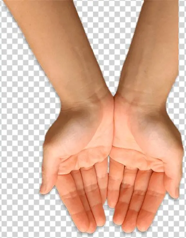 Palmistry