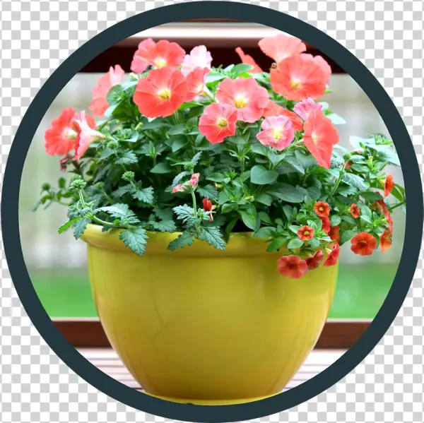 Point Of Purchase - Flowerpot