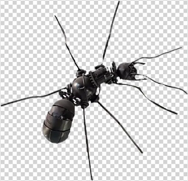 Sawfly