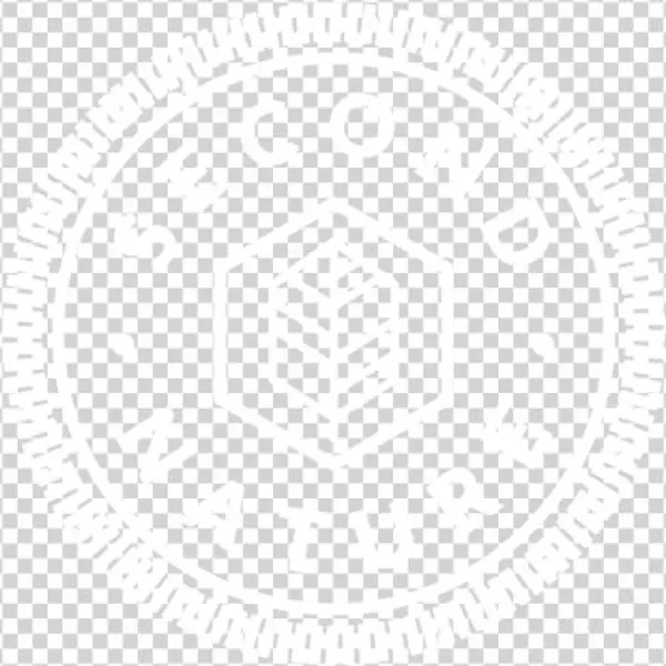 Secondnature Transparent White - Trademark Art 'optical Illusion Art' Graphic Art Print