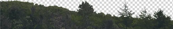 Watch Tower Skyline Skyline - Larch