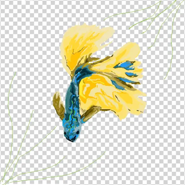 Betta Feeesh - Illustration