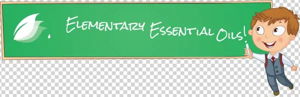 Elementary Header - Szesciolatki W Szkole [book]