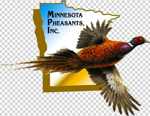 Get In Touch - Minnesota