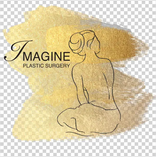 Ips Logo-overcolor - Imagine Plastic Surgery Center: Robert A. Hardesty,