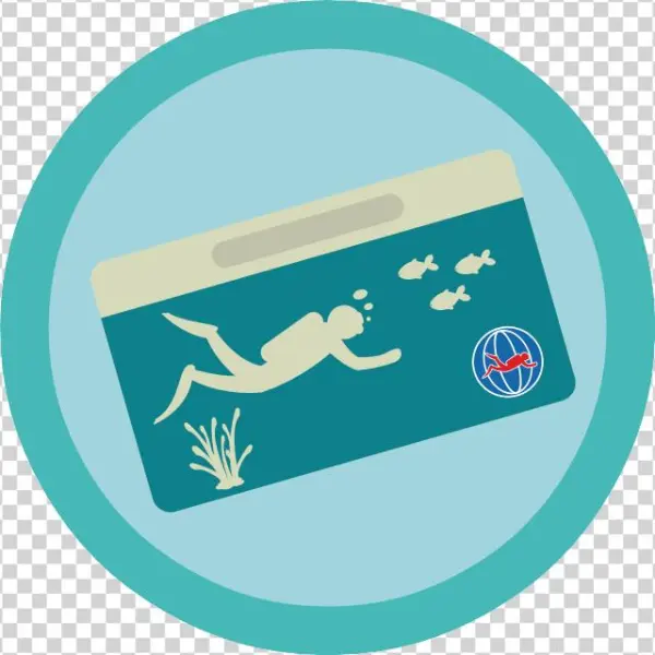 Learn To Dive