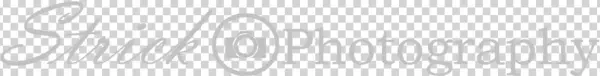 Logo Wide Light