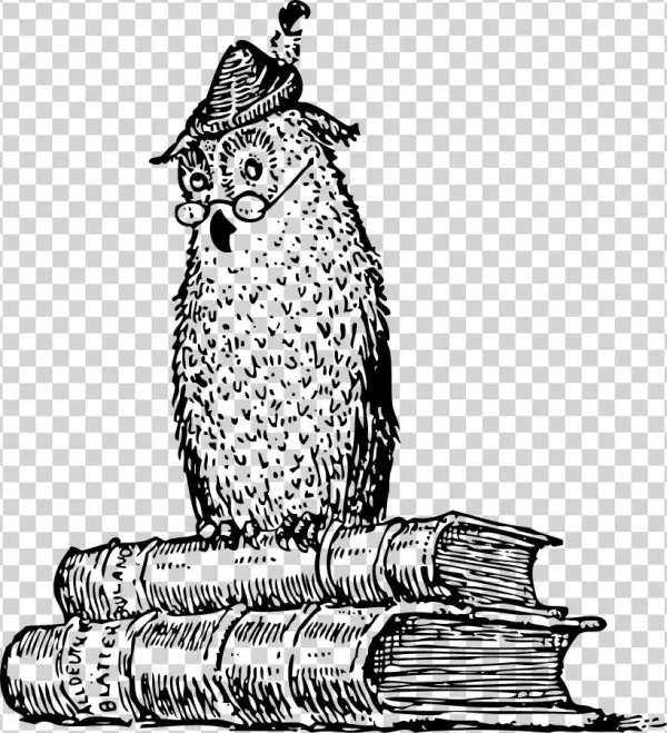 Owl On Books Png