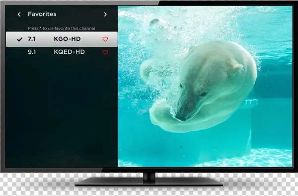 Roku Tv Tuner Favorites - Notebook Journal Dot-grid, Graph, Lined, Blank No Lined: