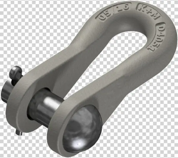 Shackle Type 2 With Pin - Hook