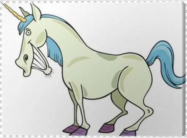 Unicorn Myth