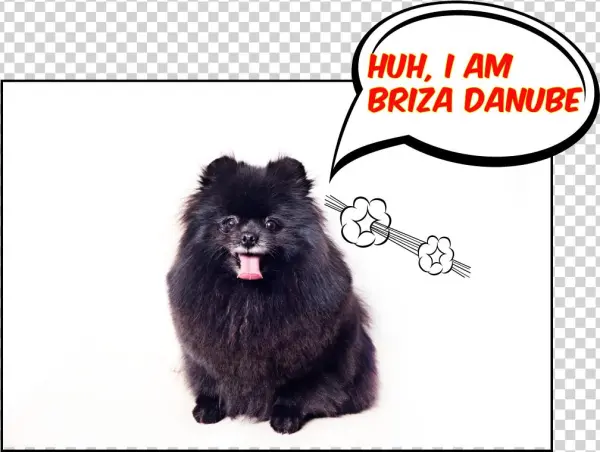Briza Danube - Blank Comic Books For Kids: Make Your Own Comic Books