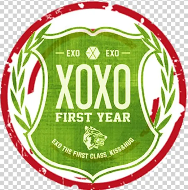 First Year, The Most Beautiful Year With Exo