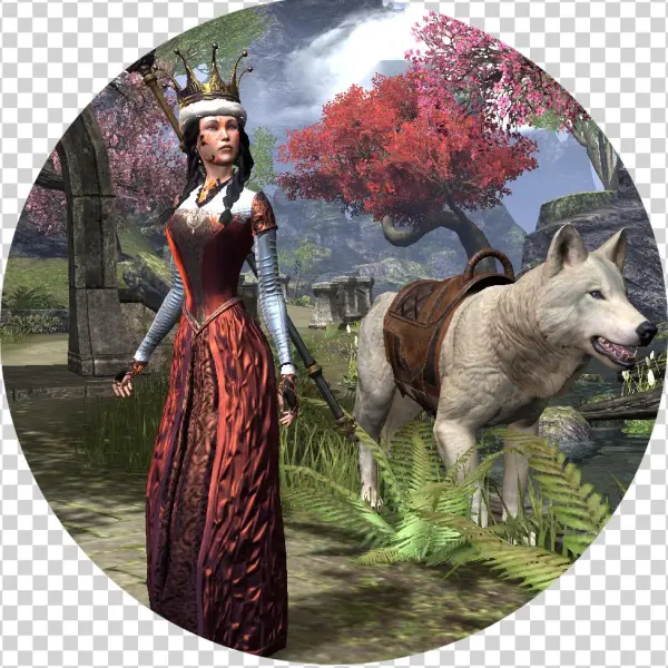 General Introduction - Healer