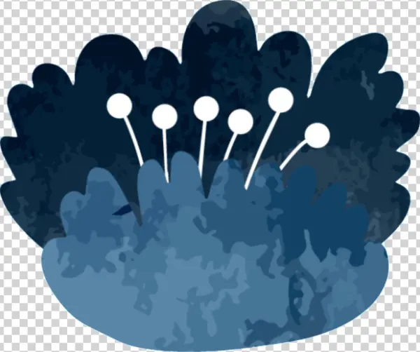Hand Painted Flowers Png Transparent