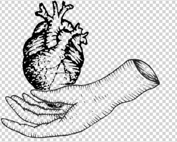 Heart - Portable Network Graphics
