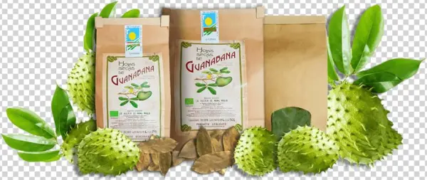Hojas Guanabana Ecologicas De Canarias - Pharamaamazon Organic Graviola Liquid Soursop Extract