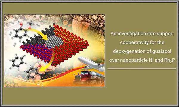 Illustration Labeled On The Right Side, An Investigation - Guaiacol