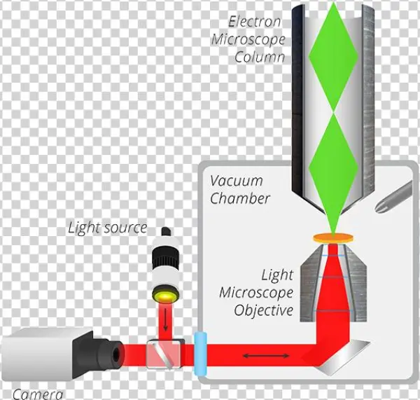 Integrated Clem - Everhart-thornley Detector