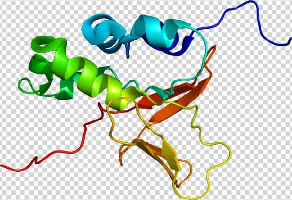 Protein Tgfbi Pdb 1x3b - Tgfbi