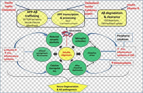 Viewdownloadnew - Amyloid Beta Pathogenesis