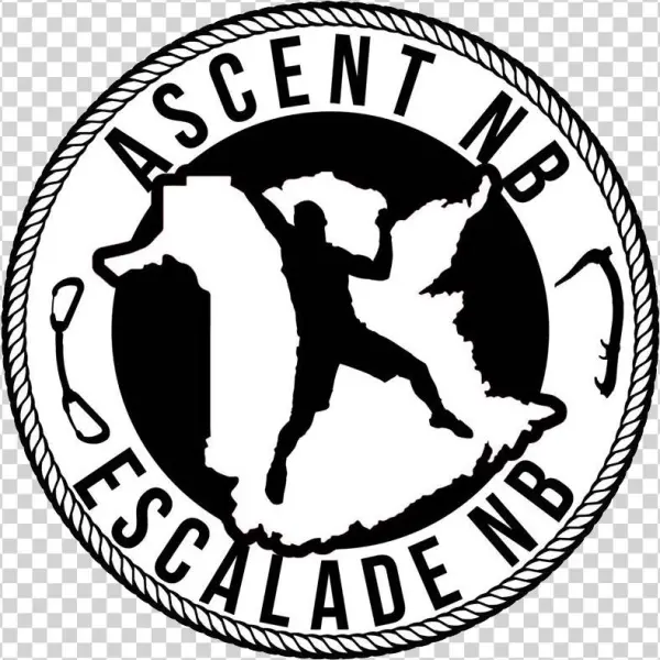 Ascent Nb - Constitution